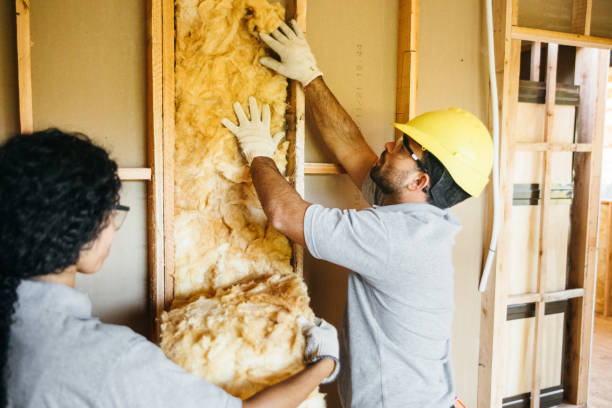 Types of Insulation We Offer in Lacombe, LA